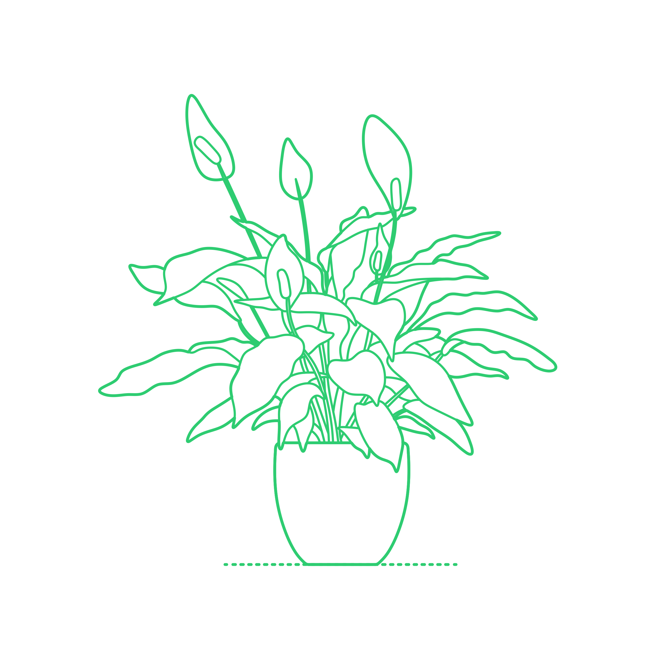 Plants Indoor Plants Peace Lily Tracing Svg Vector Free Vectors